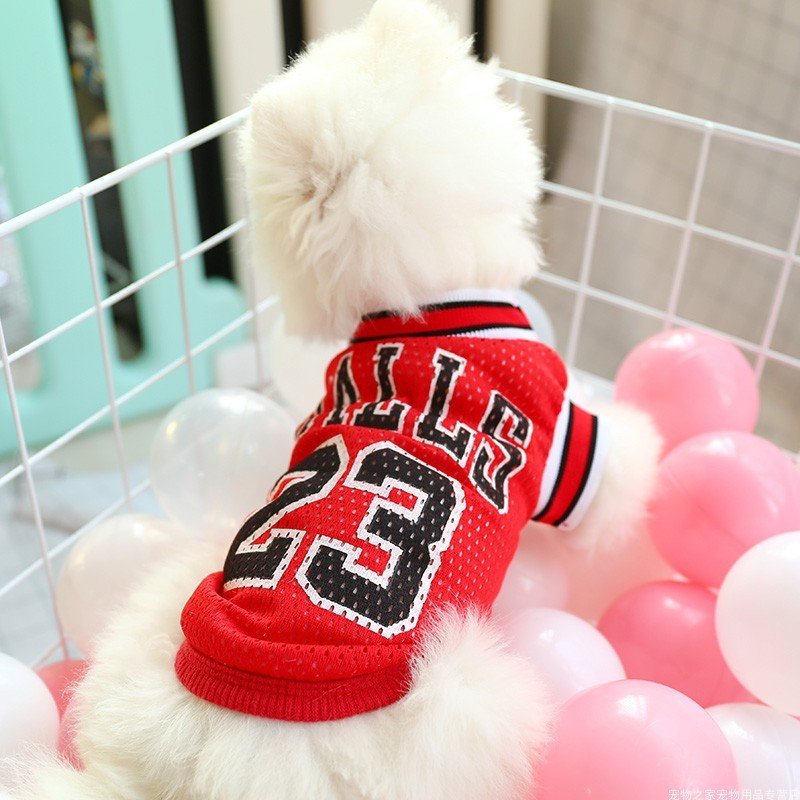 60b3577d-cbd4-44d0-80ab-8beaee2d83cb.jpg
